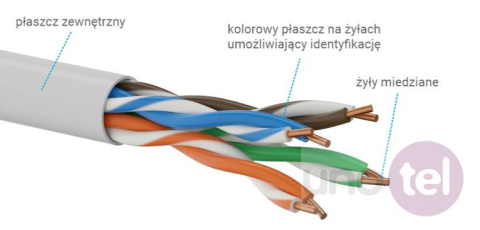 Ethernet network cable UTP category 5e B2ca KIU5LSOH305B Ethernet network cable UTP category 5e B2ca KIU5LSOH305B