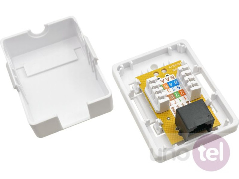Gniazdo natynkowe UTP kat.6 1xRJ45 Gniazdo natynkowe UTP kat.6 1xRJ45